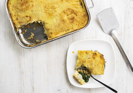 Parmentier Schotel 2